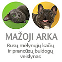 „Mažoji arka“ - rusų mėlynųjų kačių ir prancūzų buldogų veislynas