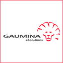 „Gaumina“ - internetinių puslapių kūrimas
