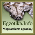 Egzotika.Info – mėgstantiems tikrą, gyvą egzotiką!