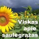 „Saulėgrąžų pasaulis“