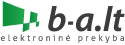 Elektroninė internetinė parduotuvė