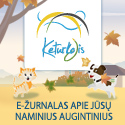 Keturkojis.com / e-žurnalas apie Jūsų naminius augintinius