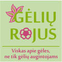 Apie gėles, gėlių auginimą ir kitus svarbius dalykus gėlių augintojams ir mylėtojams