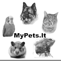 MyPets.lt – viskas apie gyvūnus