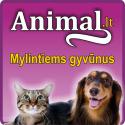 Animal.lt – mylintiems gyvūnus