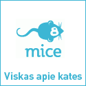 www.mice.lt – socialinis tinklas kačių mylėtojams