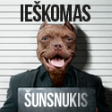 Socialinis projektas „Vyrai už moteris“ Socialinis projektas „Vyrai už moteris“