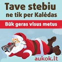 Aukok.lt – aukok internetu: parama nevyriausybinėms organizacijoms
